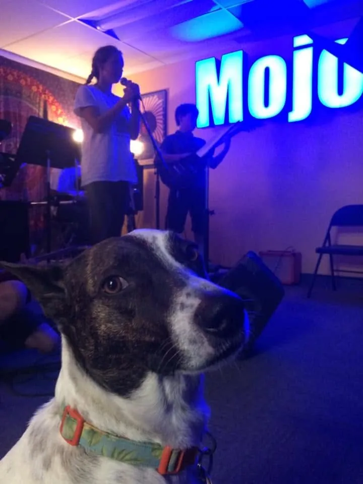 Koko, the Mojo's Music Academy mascot, at the studio